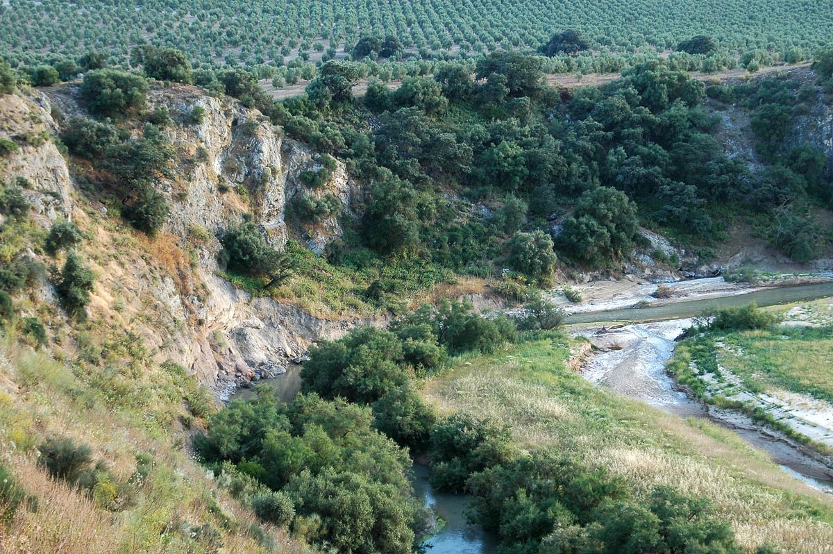 RÍO ANZUR