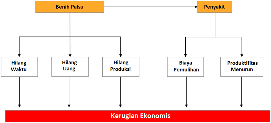 Akibat Benih Palsu Akibat Benih Palsu