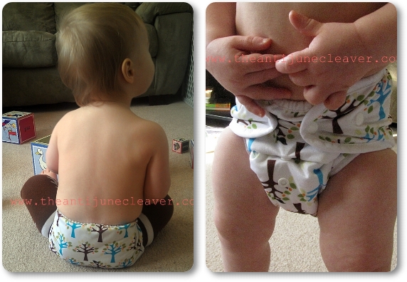 Thirsties Duo Diaper Review Thirsties Duo Diaper Review