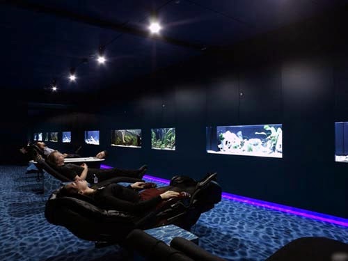 speaking-of-relaxing-theres-this-room-with-aquariums.jpg