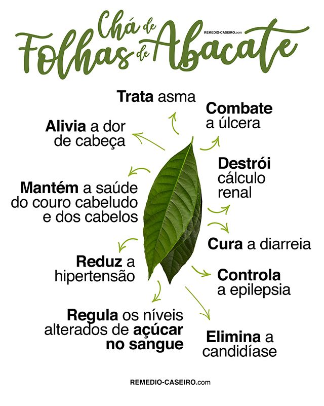 Benefícios do chá de abacate
