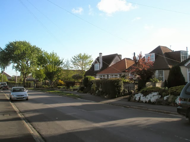 Spring in Court Lane