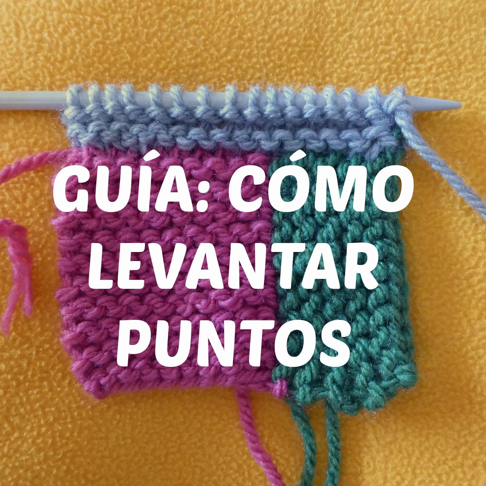  Descarga tu guía "Cómo levantar puntos"