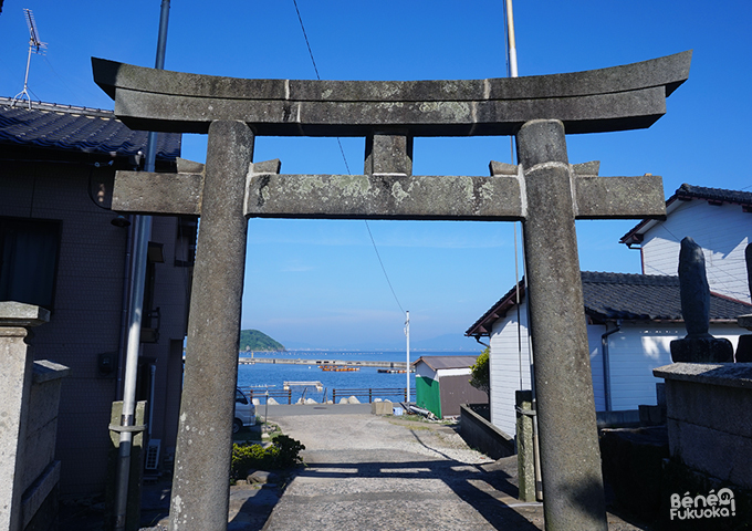 Ainoshima, l'île aux chats