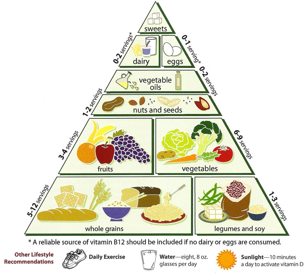 Regular Food Pyramid