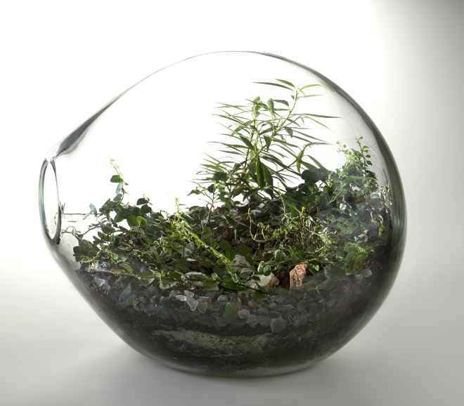 Jennifer Tetlow Stone Sculpture Journal Indoor Gardens Terrariums