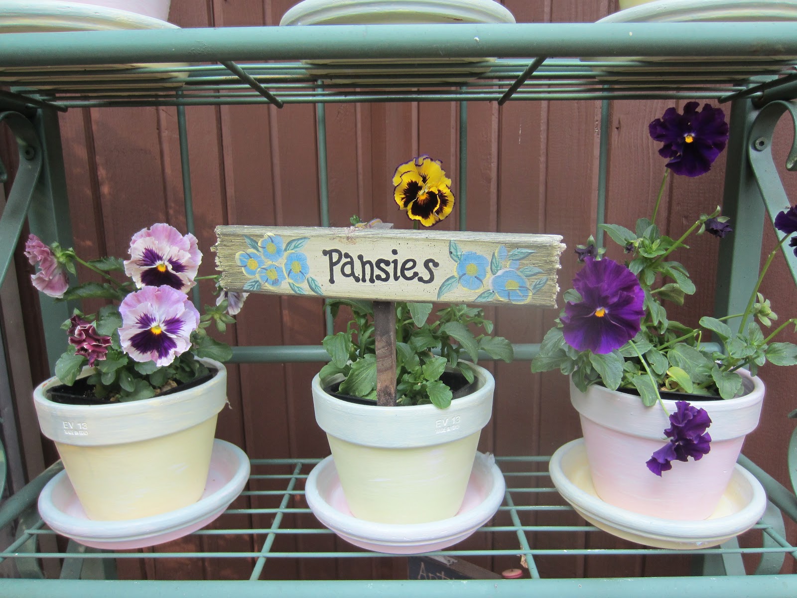 Beatrice Euphemie Potting up Fall Pansies
