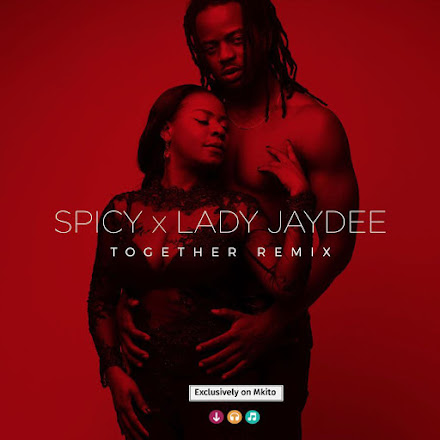 Download ngoma ya Lady jaydee