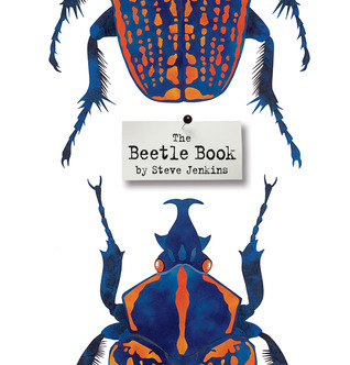 The Beetle Book Steve Jenkins