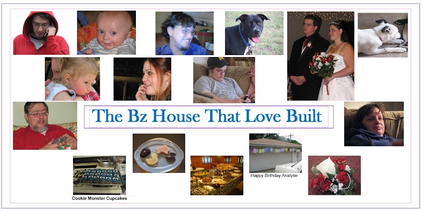 The Bz House That Love Built