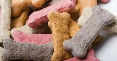 Artificial Coloring in Dog Food
