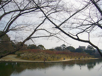 兵庫県・伊丹市 緑ヶ丘公園の梅