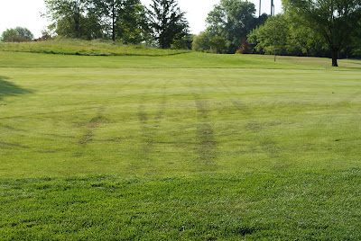 Riding carts and extreme heat causes turf damage on golf course fairway