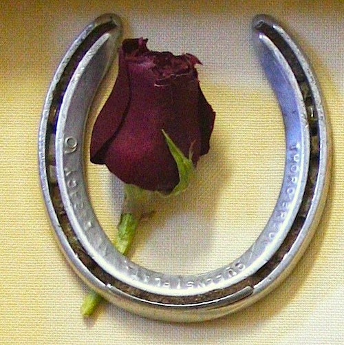 Fran Jurga`s Hoof Blog News from Hoofcare + Lameness How Much is a