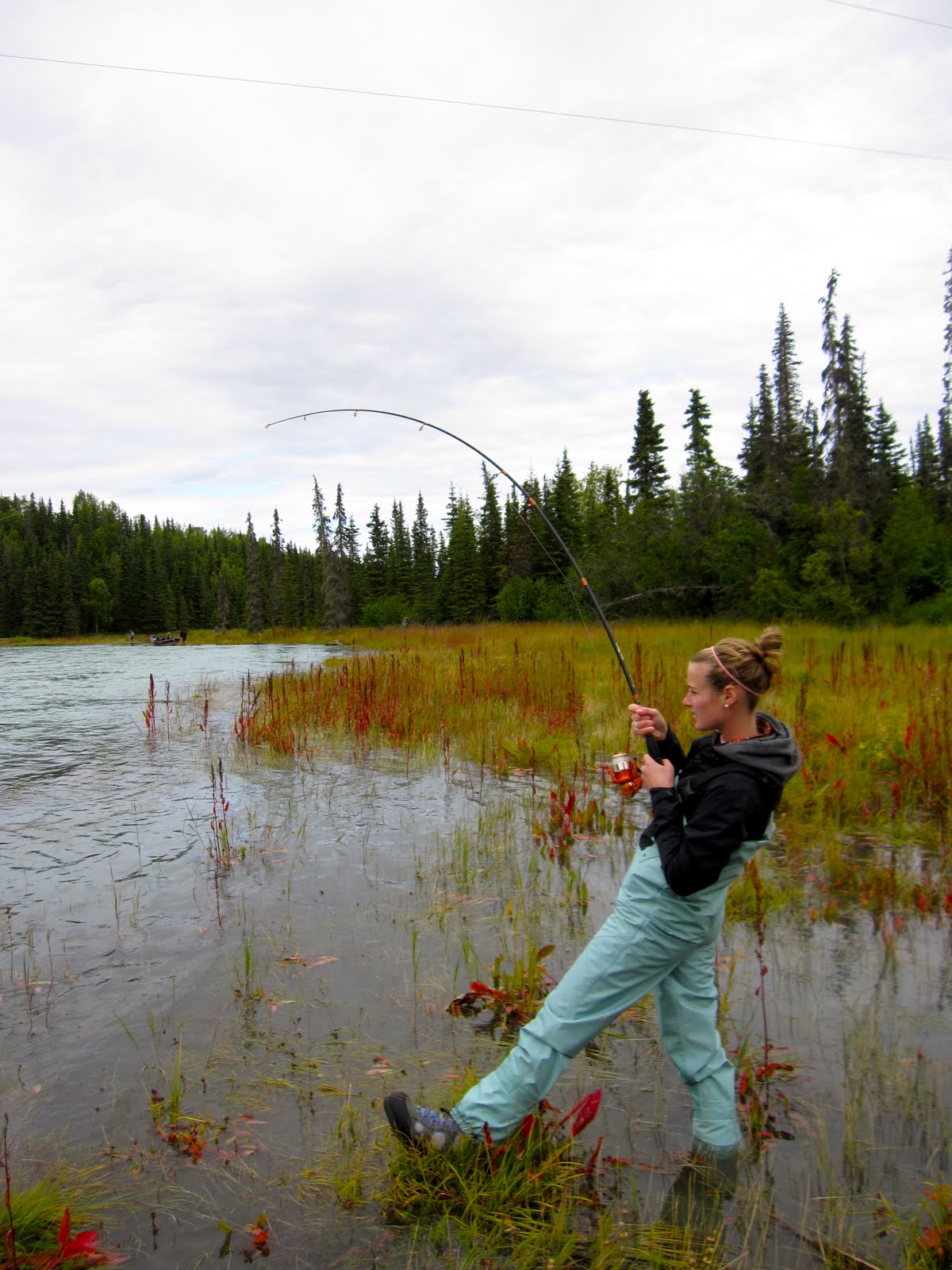 Clamming in Clam Gulch, Alaska To & Fro
