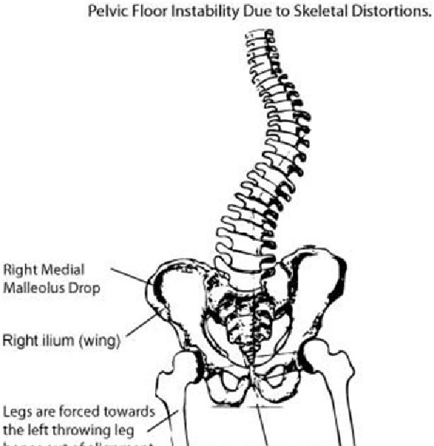 Pilates Patio Pelvic Floor