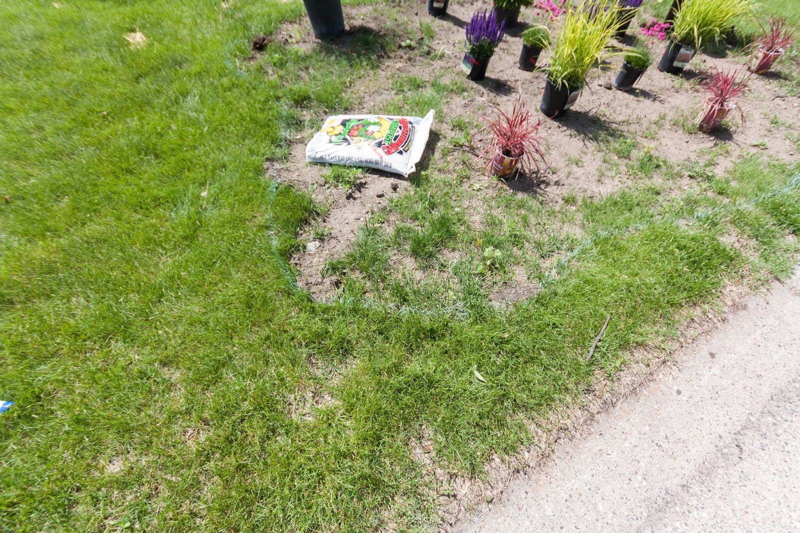 Canadiangardenjoy Lust List For Shrubs And A Question