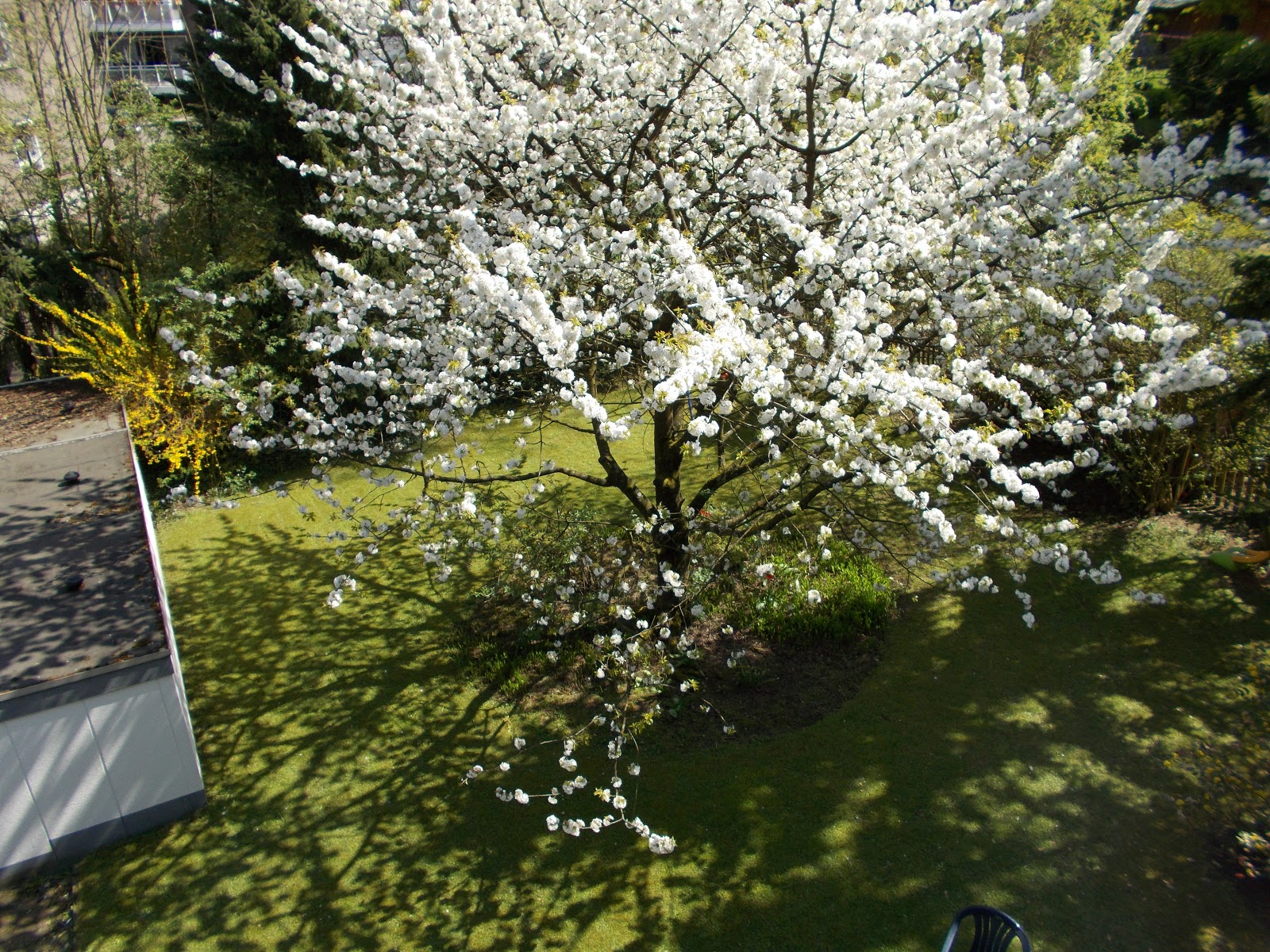 Den Grossen Geier Sammelband Pdf Kostenfreier Download