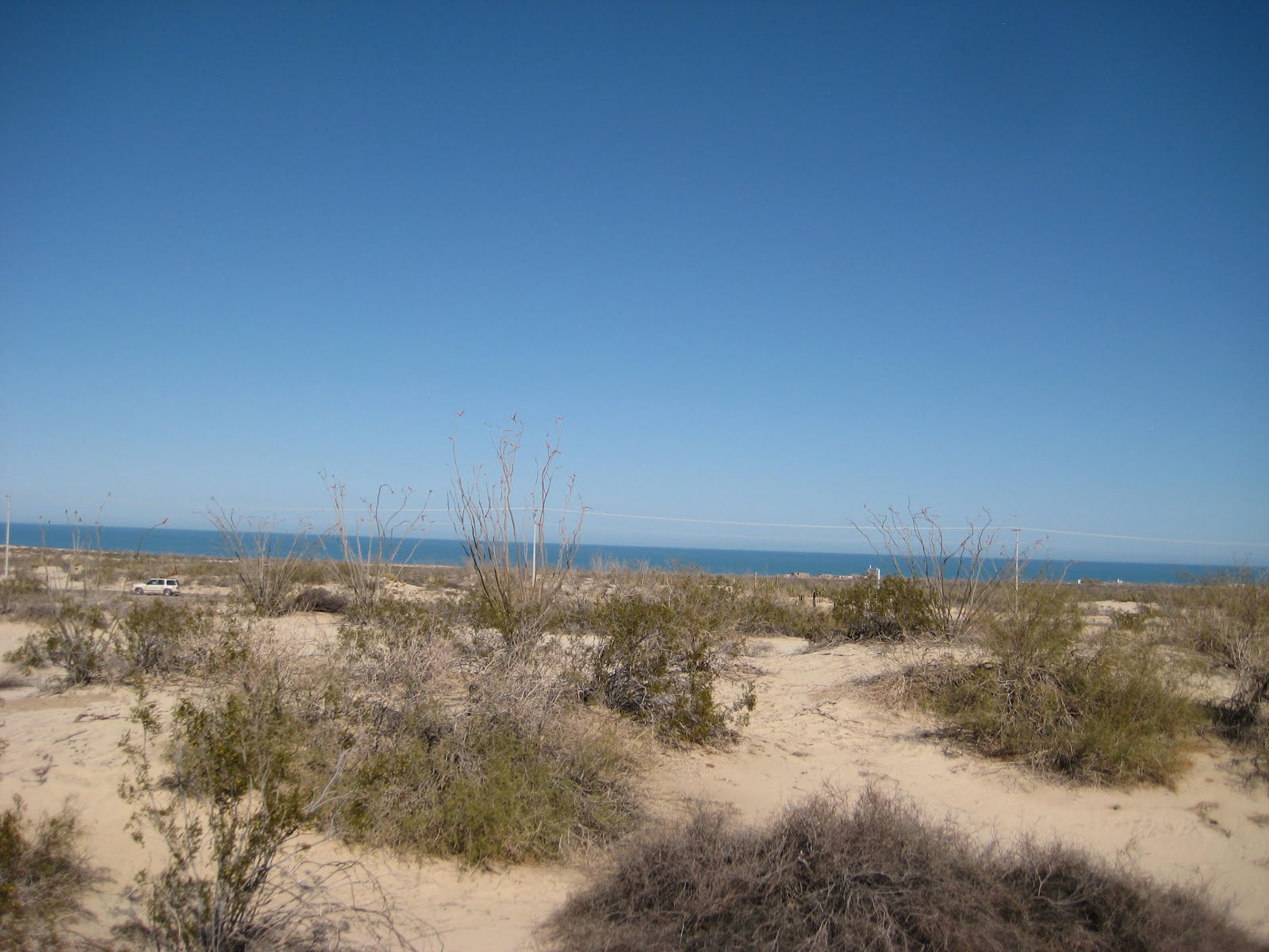 San Felipe, Baja California, Mexico Real Estate Updates and News El