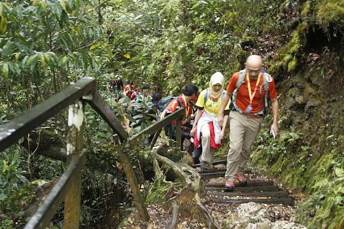 Pelancong luar sertai pengalaman pendakian percubaan pertama kali ke Laban Rata, Gunung Kinabalu
