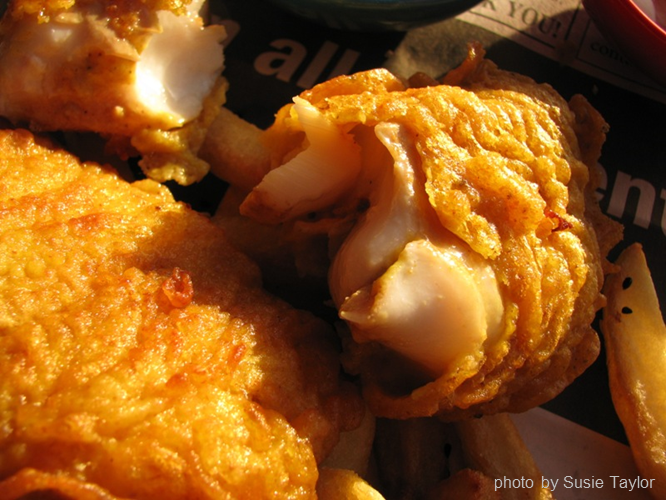 The Moose Curry Experience An Act of Cod IndianSpiced Fish & Chips