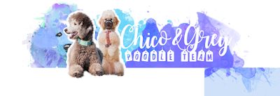 Chico&Grey- poodle team