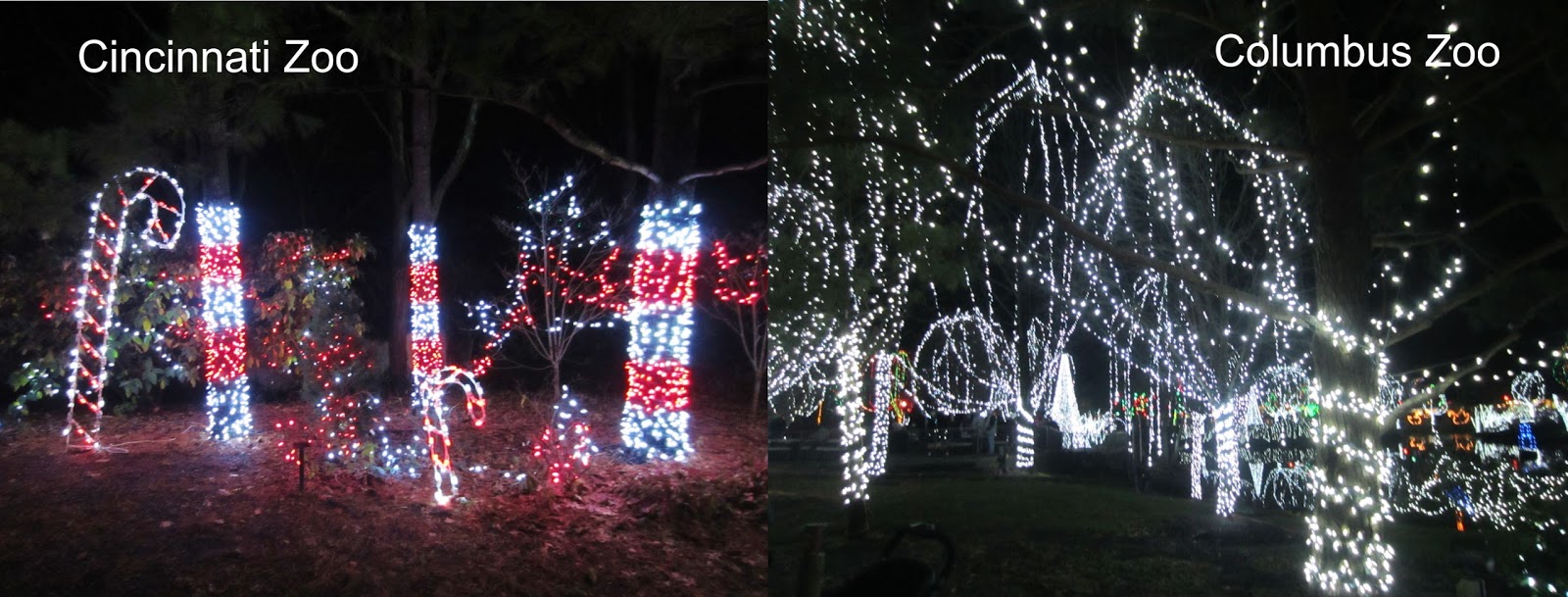 Luminature uncoveringpa cheney Violet's Silver Lining: Zoo Christmas Lights Galore