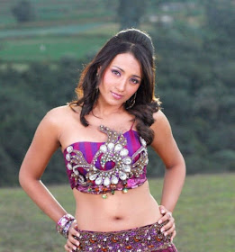 South indian actress navel show photos