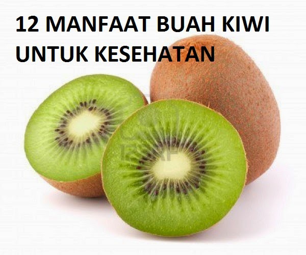 12 Manfaat Buah Kiwi Bagi Kesehatan Buah Sayur Sehat