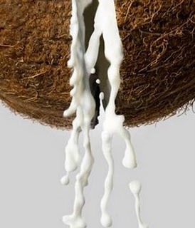 santan kelapa