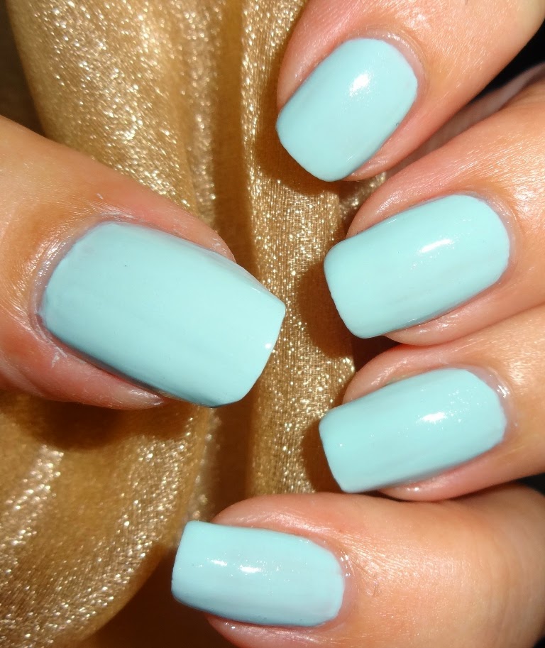 Wendy's Delights Born Pretty Store Frosted Matte Nail Polish 23