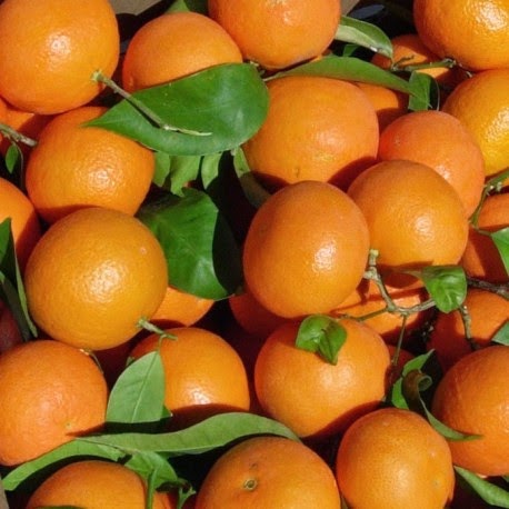 Mandarinas online baratas Mandarinas online baratas