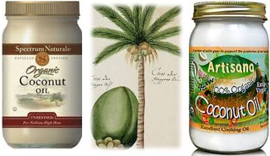 Pets and Coconut Oil: An Experiment with Two Cats FYI Coconut Oil is not an essential oil. To address your q: I do regularly give a teaspoon of extra virgin coconut oil to my cat. She loves and craves EVCO. Too much can cause soft stools and can throw off the pH of the intestines, so give in moderation and with breaks if needed.
