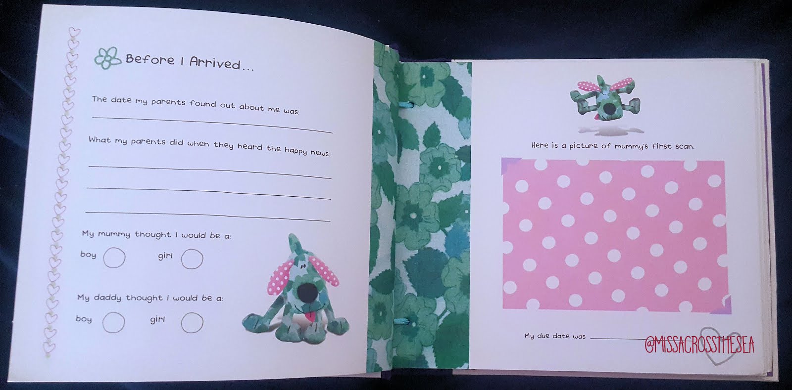 Miss Across the Sea (Eng): Book Review: Fabric Animals, Baby Book Record by  Bang On The Door