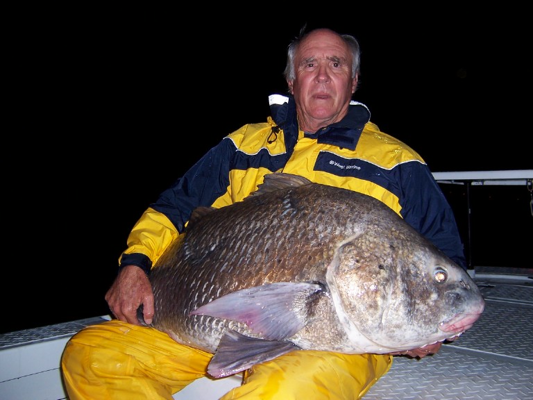 Big Fishes of the World DRUM BLACK (Pogonias cromis)