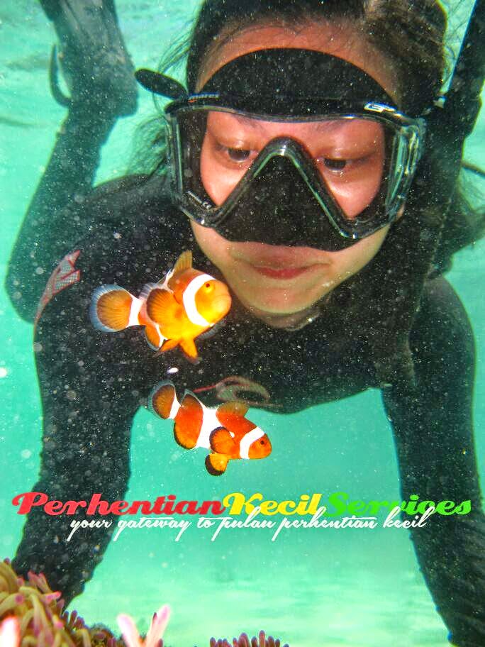 Pakej Snorkeling Pulau Perhentian Kecil 2015 pakej pulau perhentian 2015