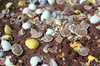 Dark chocolate fudge with Cadbury Mini Eggs and sea salt
