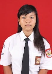 SILVIA FARAH SANTOSO