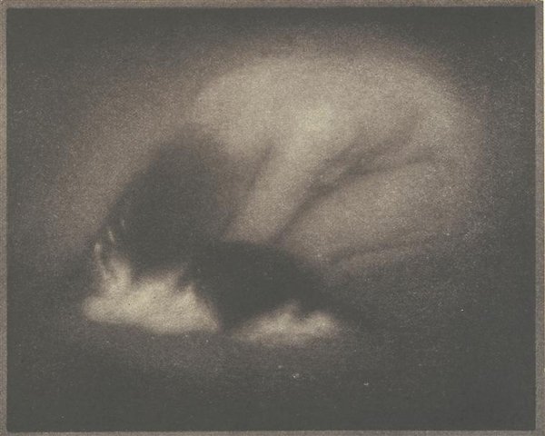  a photograph by Steichen where you can actually see the woman's pussy