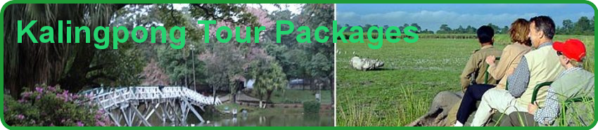 Kalingpong Tour Packages | Guwahati Tour Packages | North East Tour Packages | North East Tour
