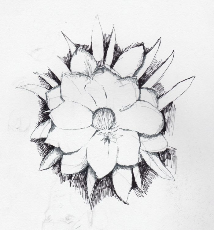 fransion art lakaran siap part2 fransion art lakaran siap part2