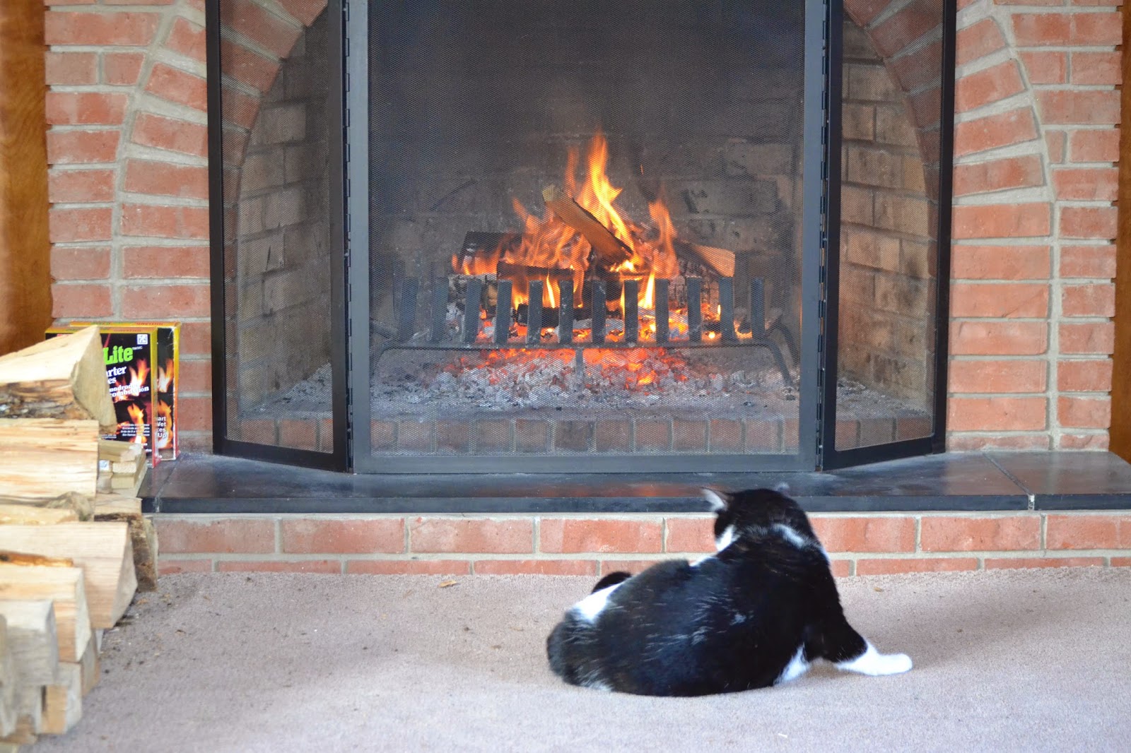 Aileen's Thoughts It's Cold Outside, But Warm Inside!