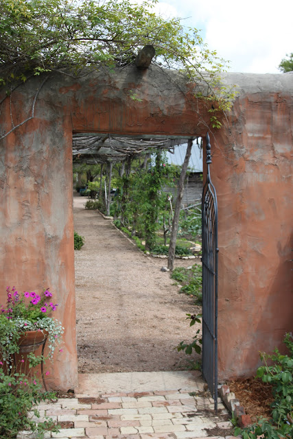 Rock-Oak-Deer: The Antique Rose Emporium - San Antonio