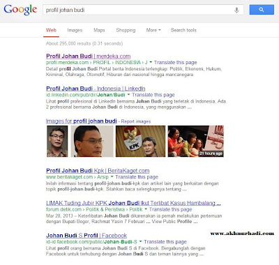 profil-johan-budi profil-johan-budi