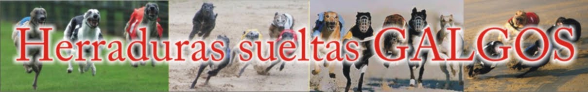 Herraduras Sueltas Galgos - G Bazan