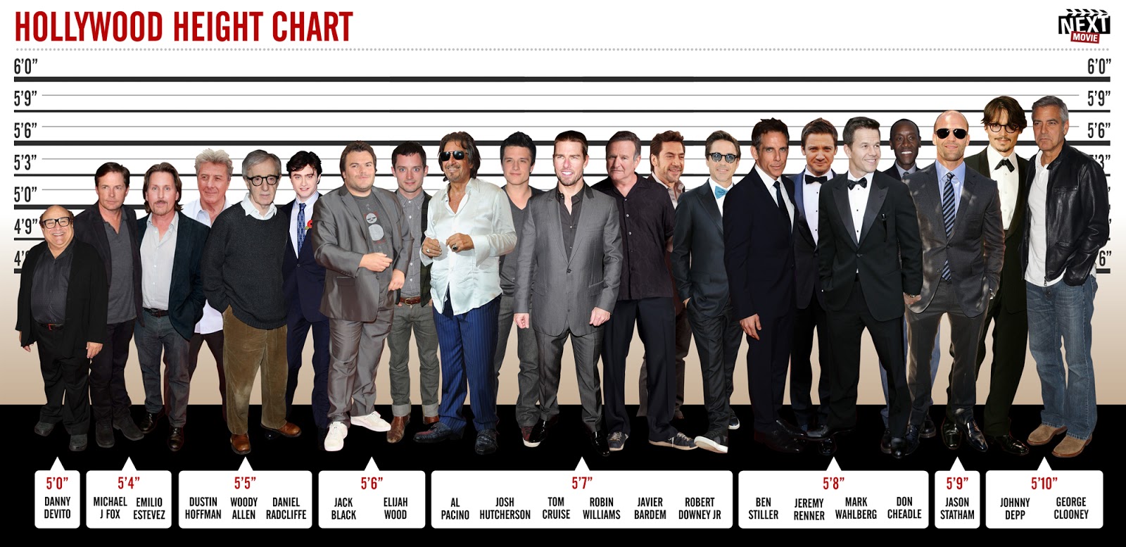 tmf hollywood height chart humor and urban legends hight chart