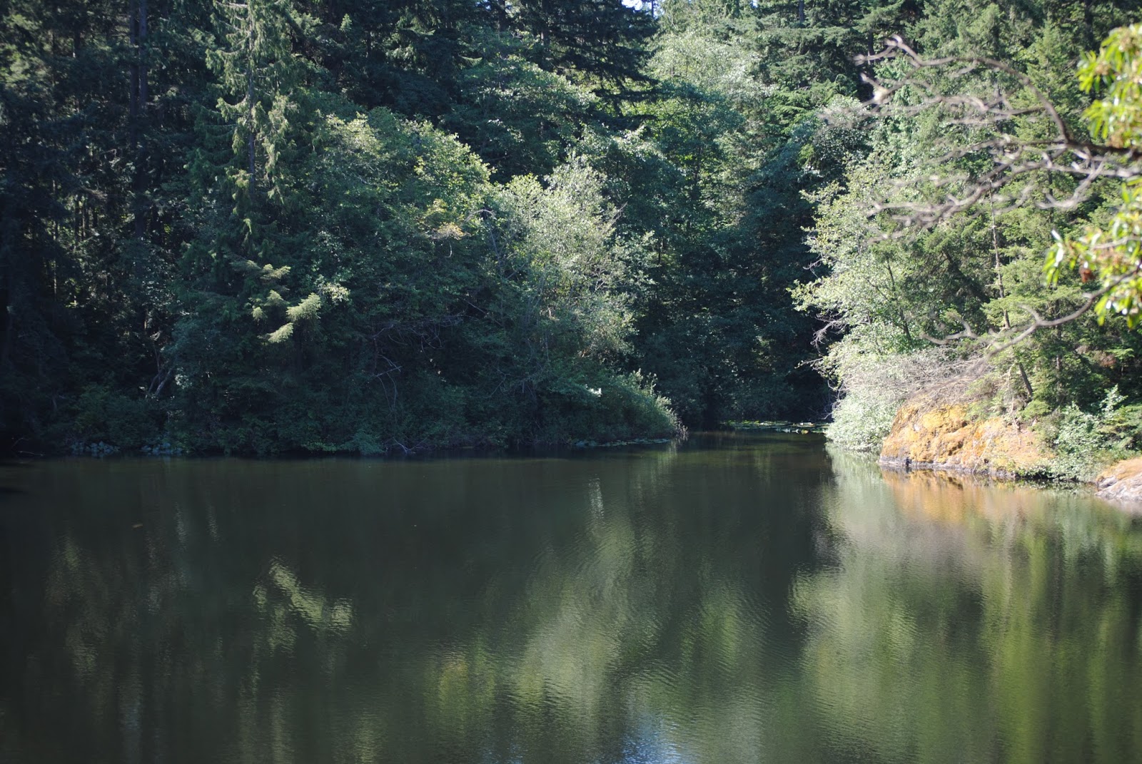 Traveling Nan Whistle Lake, Anacortes Forest Lands