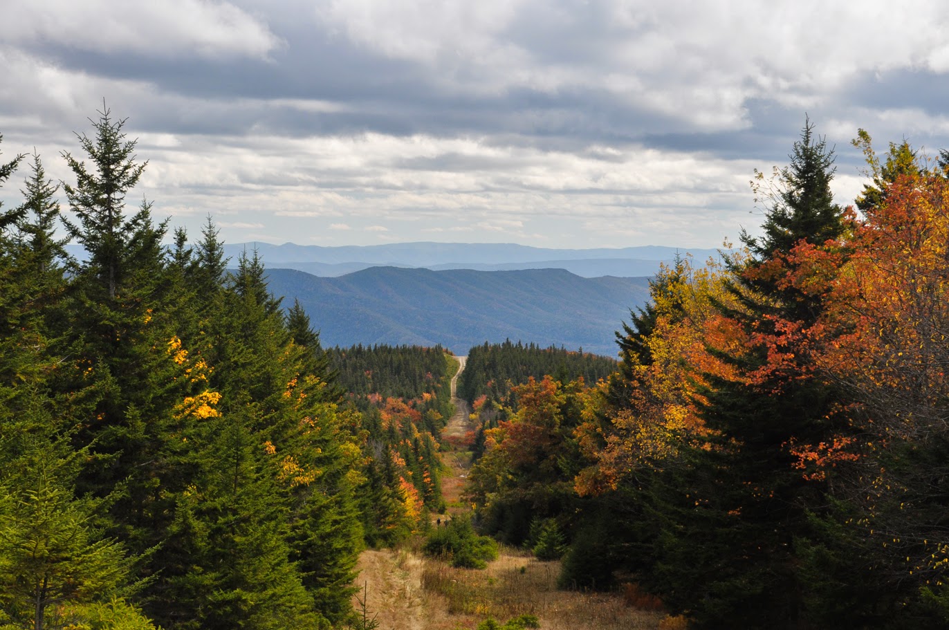 Looking down the gasline cut.