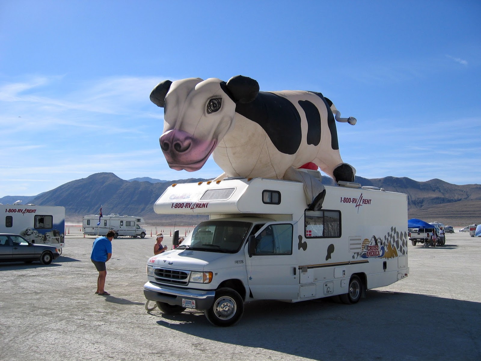 Motorhomes and Caravans What have in common a cow and an RV?