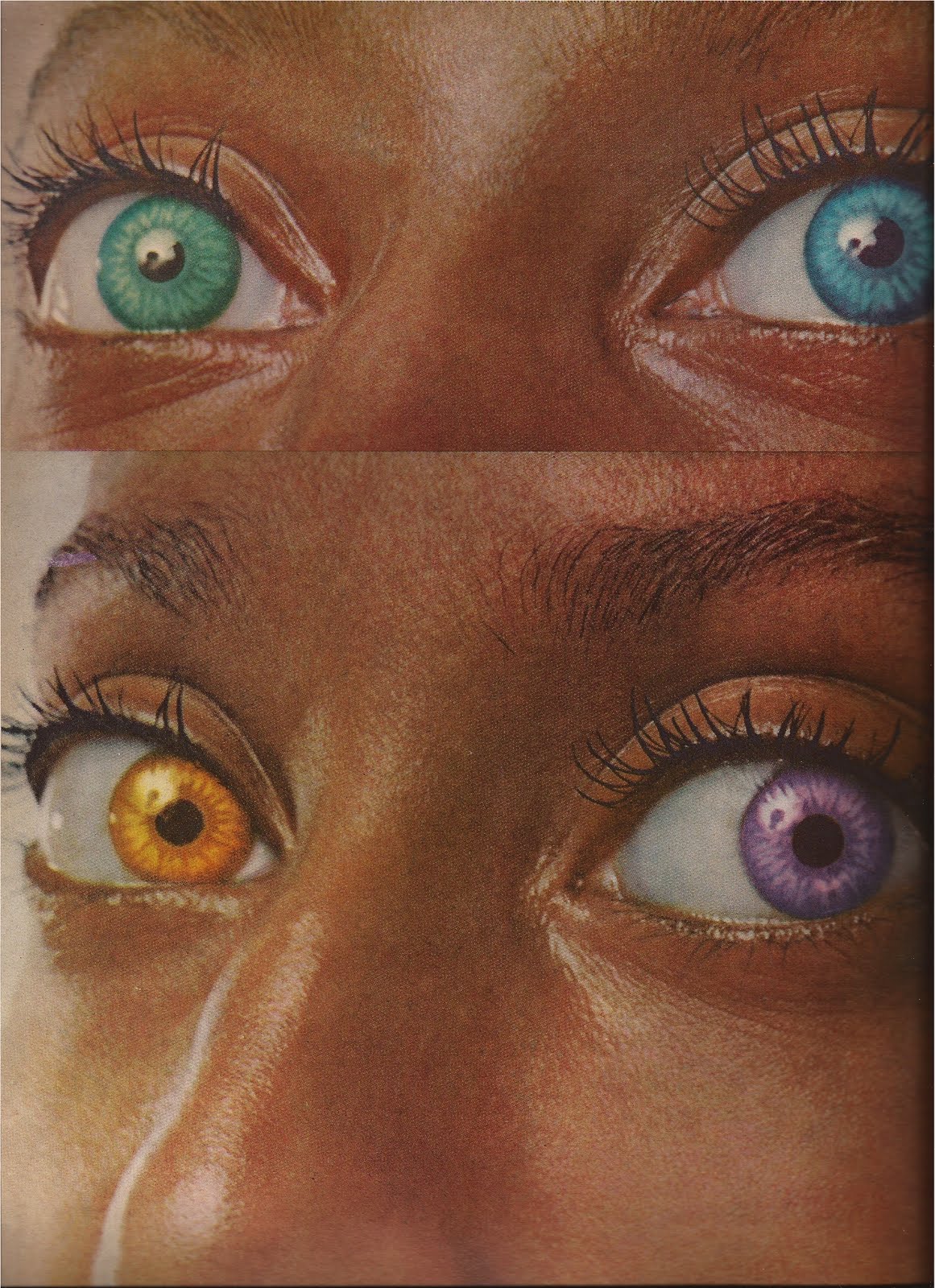 Luna+eyes.jpg